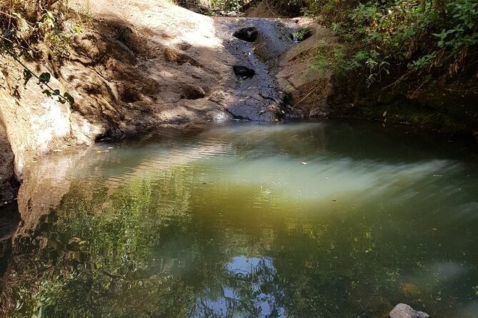 Day Trip to Menagesha Suba Forest from Addis Ababa - Timing the trip around your flight