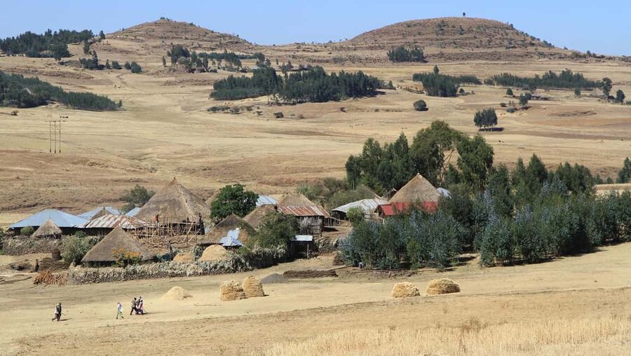 Day Trip To See Monastrys,Amazing landscapes & Animals - Why this day trip is worth the long road from Addis Ababa
