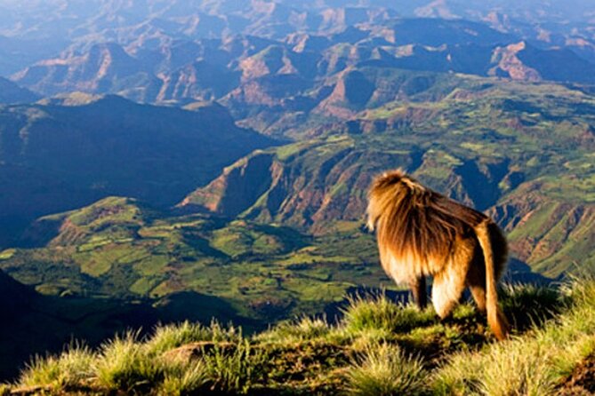 Debre Libanos and Portuguese bridge - Key points to know before booking