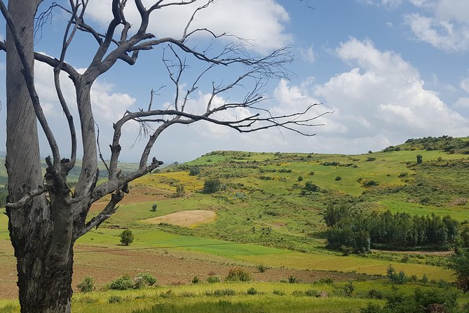 Debre Libanos Monastery and Jemma River Gorge - Day Tour from Addis Ababa - The Portuguese Bridge and Jemma River Gorge