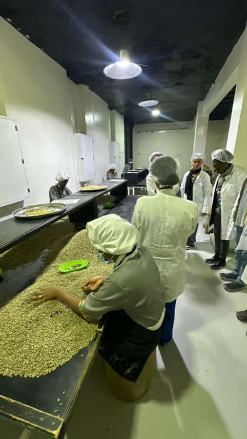 Ethiopia coffee cupping class/Ethiopian food injera making - What the guides add beyond the kitchen