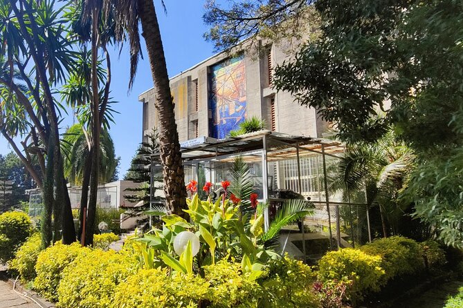 Every day Addis Ababa City Tour - Mount Entoto and the view over Addis Ababa