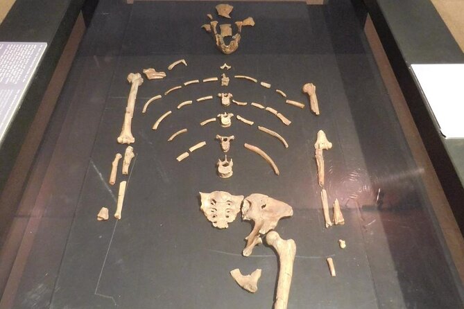 Experience a Cultural and Historical Journey through Addis Ababa - Lucy and the National Museum of Ethiopia