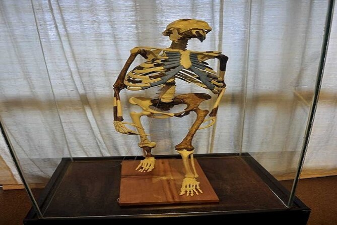 Full Day Addis Ababa City Tour with Hotel Pick Up And Drop Off - Lucy and Ethiopia’s Deep Past at the National Museum