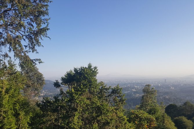 Full Day Tour of Addis Ababa with Hotel Pickup and Drop-off - Tiglachin Memorial and the final drive