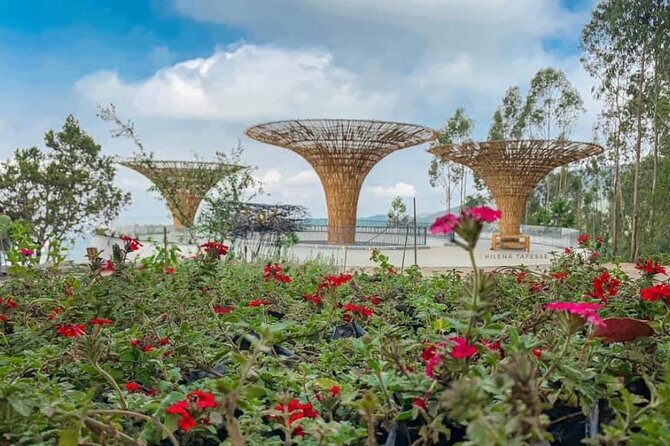 Half Day Addis Ababa City Tour - Who will get the most from this tour