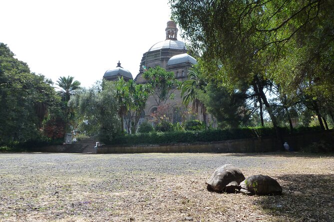 Hidden Treasures of Addis Ababa - Food, Culture and History Tour - Key things to know before you book