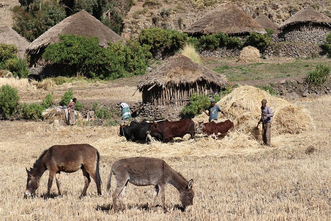 Lalibela 2-Day Eco Trekking Tour - Walking back to Lalibela on day two