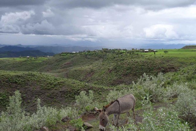 Lalibela churches Guided Tour - What the $176 price really covers