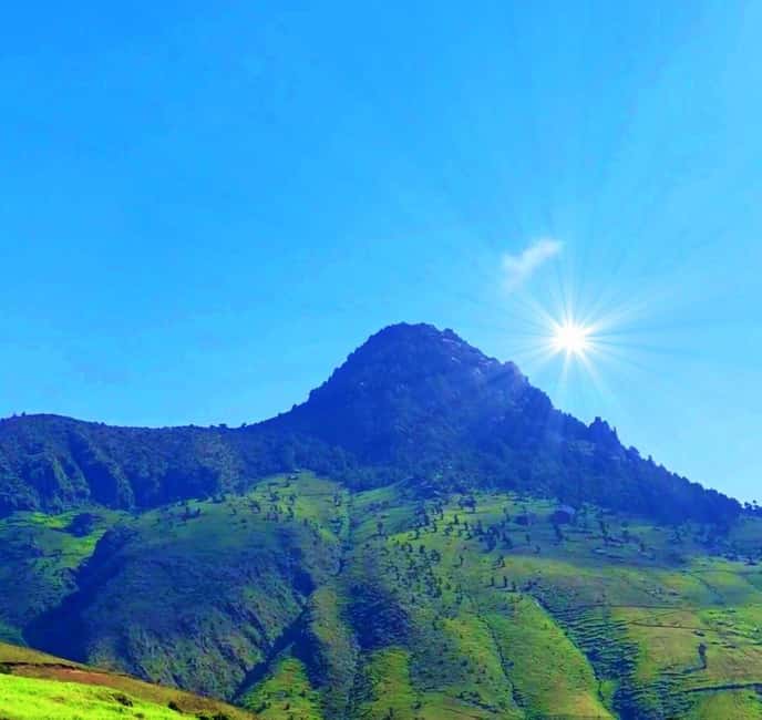 Mogle Mountain Hiking For Birding, Natures From Addis Ababa - Key points at a glance