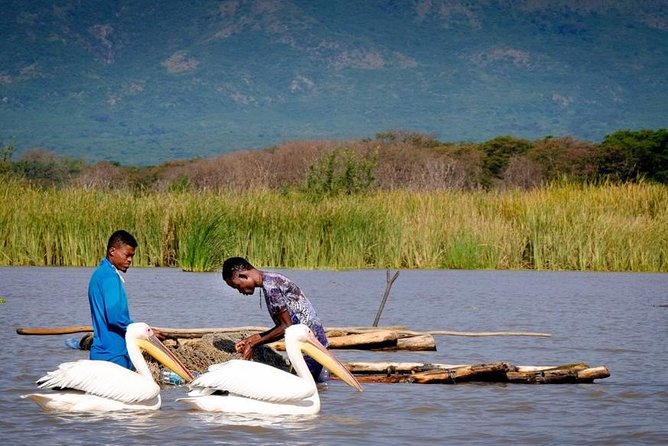 Northern Ethiopia Historic Route - Lake Tana: four hours among churches and monasteries