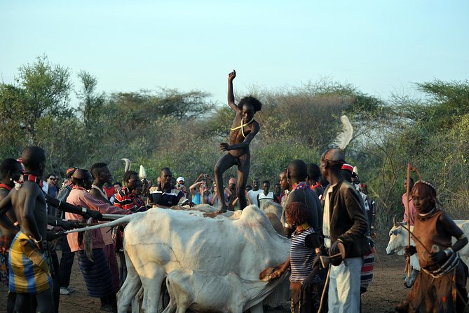 Omo Valley 5 Days - Day 5: Dorze weaving and Lake Chamo crocodiles