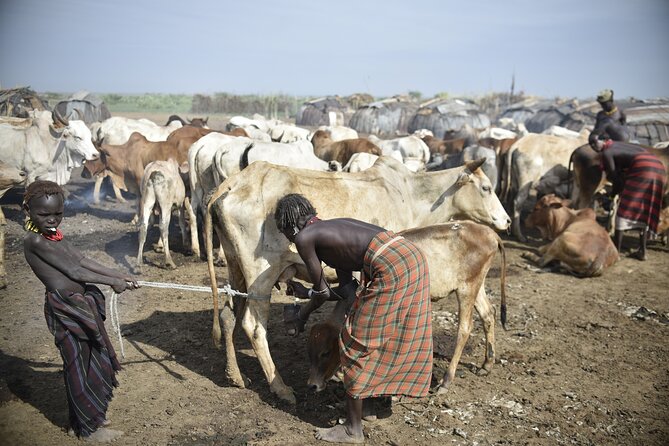 Photography Expeditions to Omo Valley - Day 6: Dorze homes, weaving, and the return to Addis Ababa