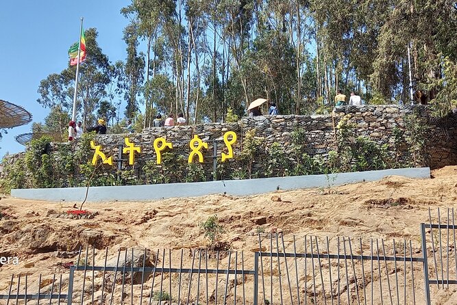 Prepare for the Best Day Tour in Addis Ababa - Using the tour for a long airport layover