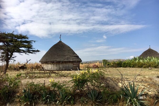 Private Full-Day Stone Age and Medieval Tour from Addis Ababa - Leaving Addis Ababa for Melka Kunture