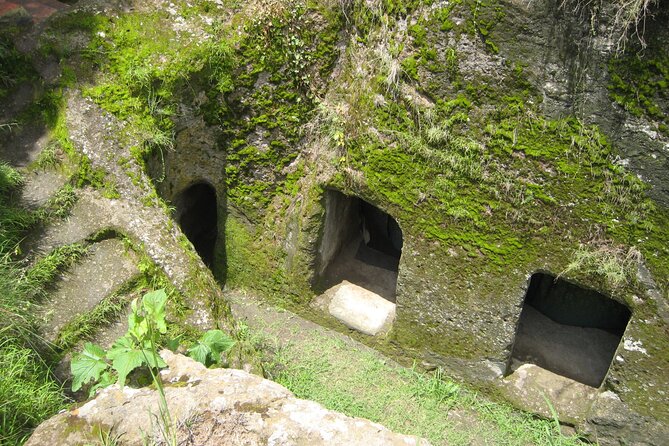 Private Full-Day Stone Age and Medieval Tour from Addis Ababa - Tiya’s carved stones and unanswered questions