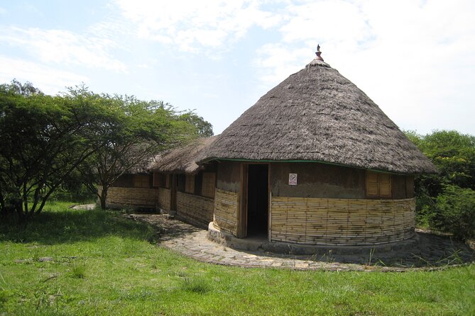 Private Full-Day Stone Age and Medieval Tour from Addis Ababa - What the private format adds