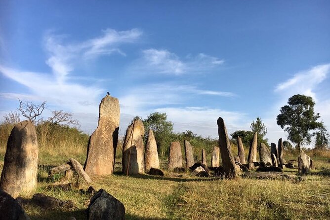 Private Full-Day Stone Age and Medieval Tour from Addis Ababa - Adadi Mariam and the countryside road