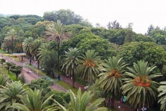 Private Guided Tours To Bahir Dar Lake Tana Monastery & Blue Nile Waterfalls - Practical details that affect your decision