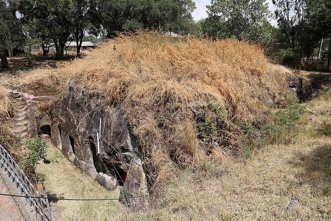 Rock Hewn Churches of Adadi Maryam, Tiya Stele & Melka Kunture - Food, coffee, and the useful extras
