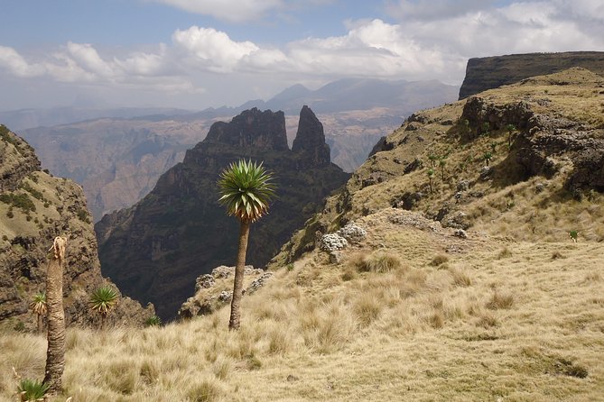 Simien Mountains National Park – 7 Day Trek - Day 6: Mekarebya to Mulit, with river crossings