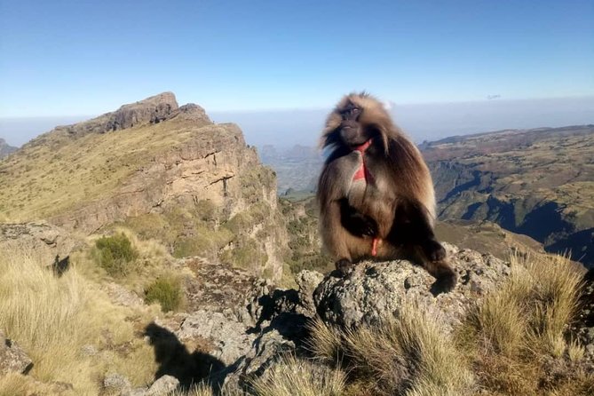 Simien Mountains Trekking Adventure - Key points to know before you book