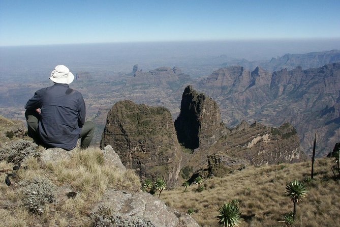 Simien Mountains Trekking Adventure - Day three: giant lobelia and Imet Gogo at 3,926 meters
