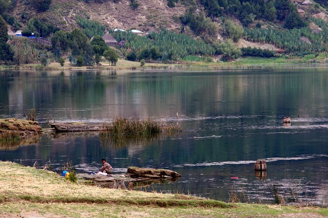 Stunning Views Wonchi Crater Lake a Private Day Trip - Birdlife and Colobus monkeys