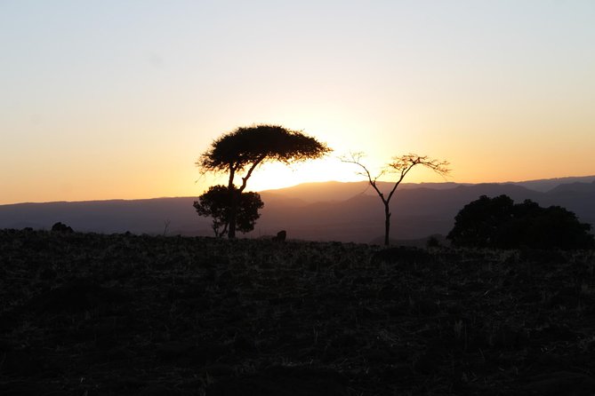 The Rock-Hewn Churches of Lalibela: 3 Days / 2 Nights - Is $240 a fair price?